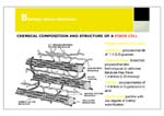 EGBCfinal_Page_453